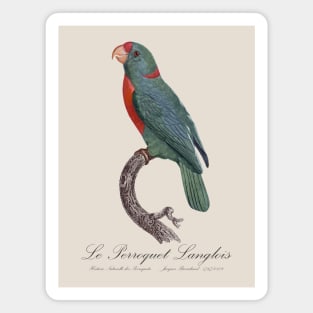 Le Perroquet Langlois Parrot - 19th century Jacques Barraband Illustration Magnet